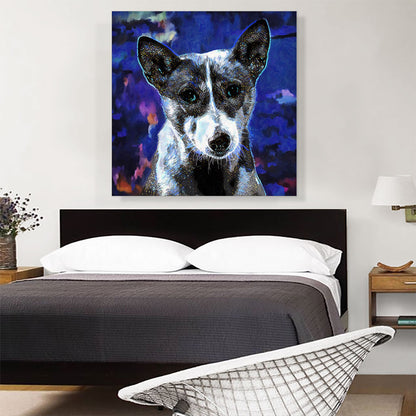 Basenji Dog Breed Blue