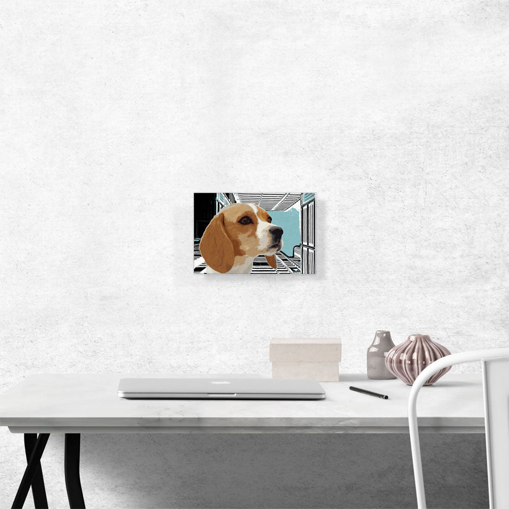 Beagle Dog Breed Sky Buildings