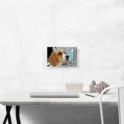 Beagle Dog Breed Sky Buildings