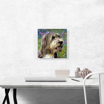 Bearded Collie Dog Breed Flowers