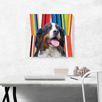 Bernese Mountain Dog Breed Yellow Red Blue