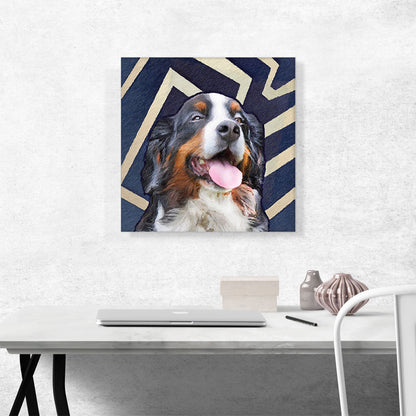 Bernese Mountain Dog Breed