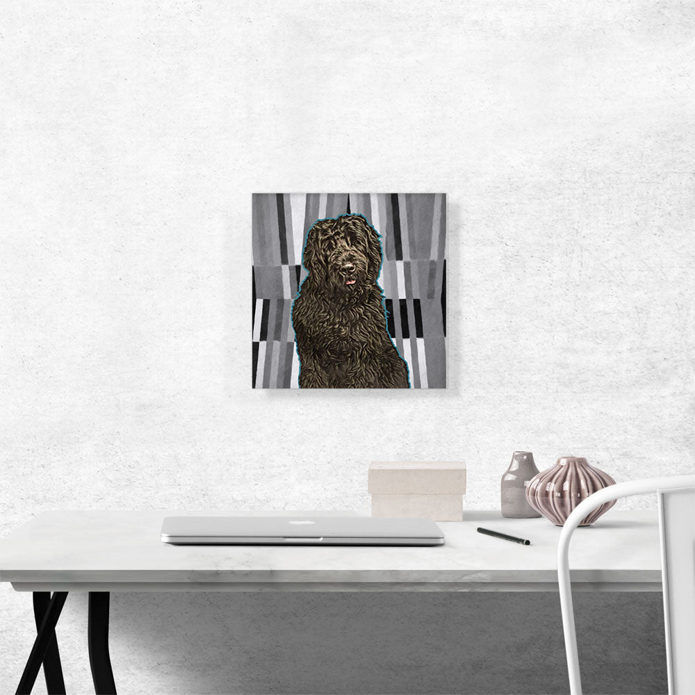 Black Russian Terrier Dog Breed