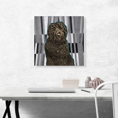 Black Russian Terrier Dog Breed