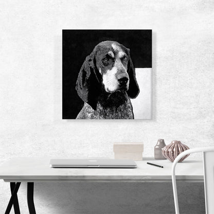 Bluetick Coonhound Dog Breed Black White