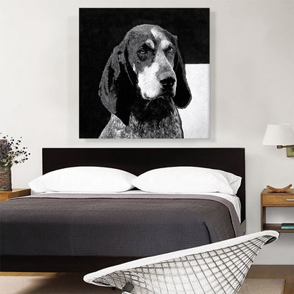 Bluetick Coonhound Dog Breed Black White