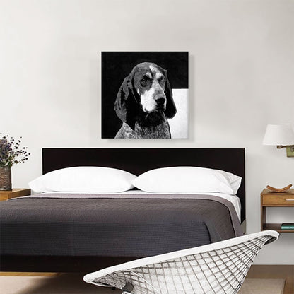 Bluetick Coonhound Dog Breed Black White