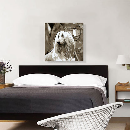 Afghan Hound Dog Breed