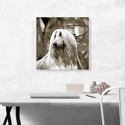 Afghan Hound Dog Breed