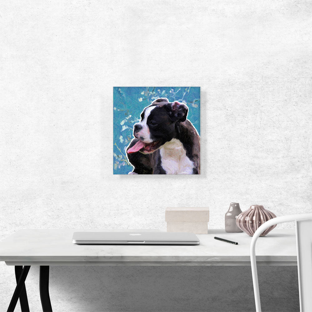 Boston Terrier Dog Breed Blue Flowers