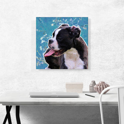 Boston Terrier Dog Breed Blue Flowers