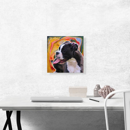 Boston Terrier Dog Breed Colorful