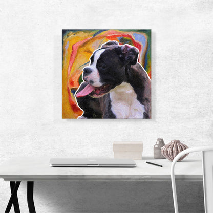 Boston Terrier Dog Breed Colorful