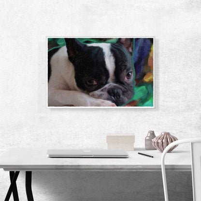 Boston Terrier Dog Breed Green Blue