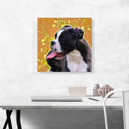 Boston Terrier Dog Breed Orange Yellow Flowers