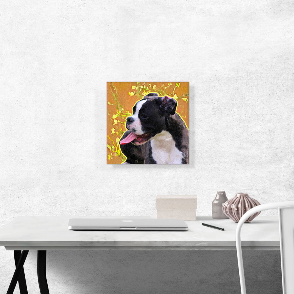 Boston Terrier Dog Breed Orange Yellow Flowers