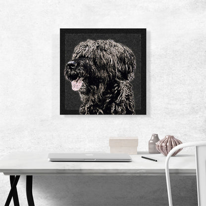 Briard Dog Breed Black White