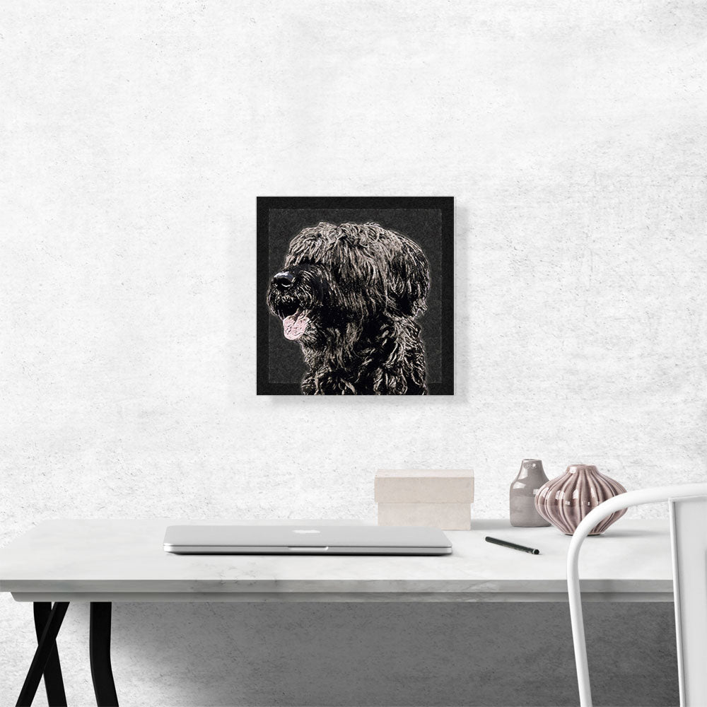 Briard Dog Breed Black White