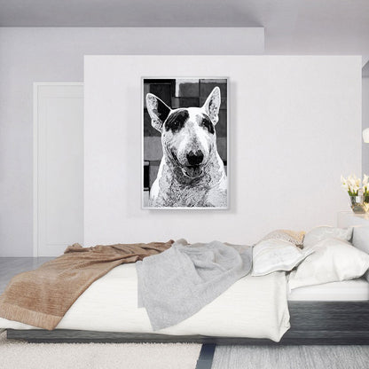 Bull Terrier Dog Breed Black White