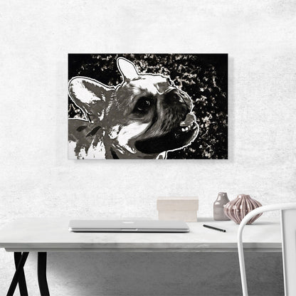 Bulldog Dog Breed Black White