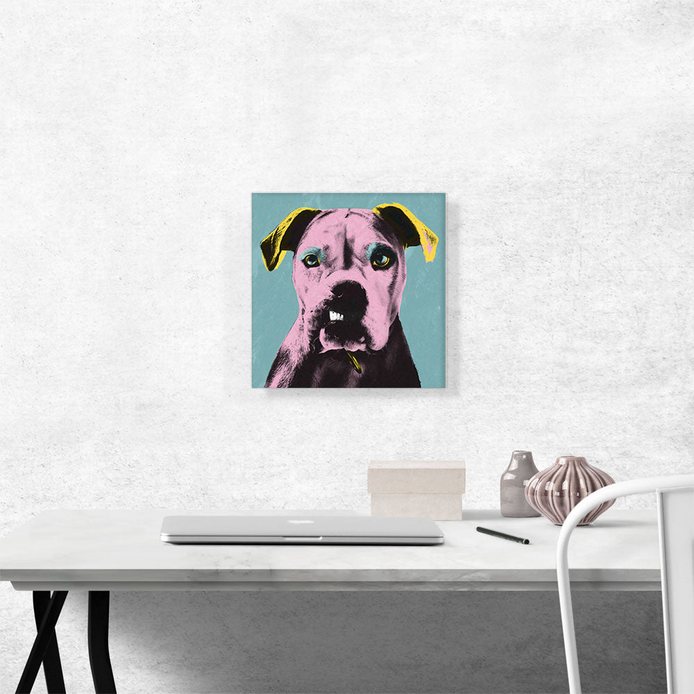 Bulldog Dog Breed Teal Pink Yellow