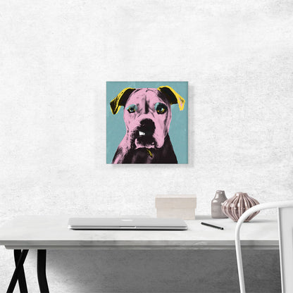 Bulldog Dog Breed Teal Pink Yellow