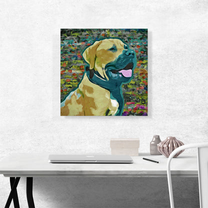 Boerboel Mastiff Dog Breed Colorful