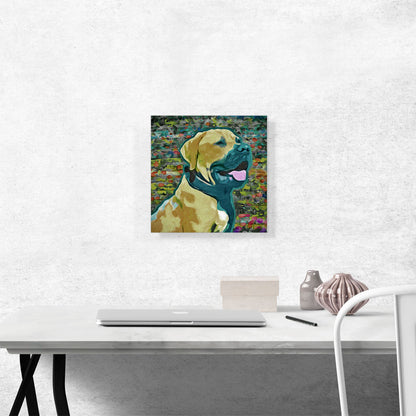 Boerboel Mastiff Dog Breed Colorful