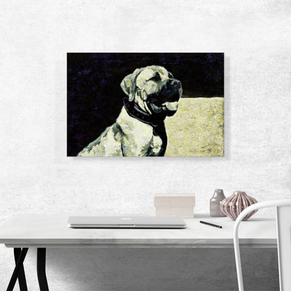 Boerboel Mastiff Dog Breed