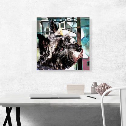 Cairn Terrier Dog Breed