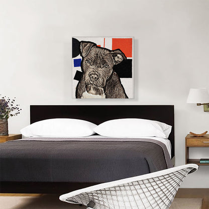 Cane Corso Dog Breed Black Blue Red