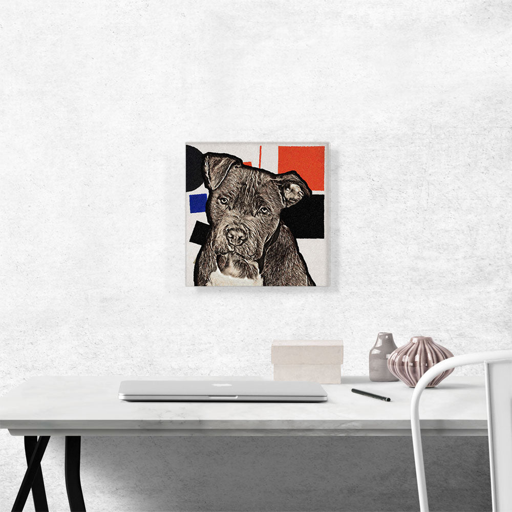 Cane Corso Dog Breed Black Blue Red