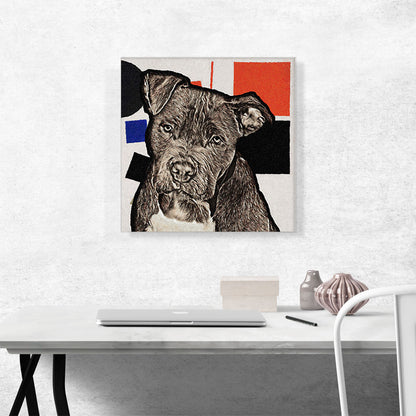 Cane Corso Dog Breed Black Blue Red
