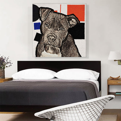 Cane Corso Dog Breed Black Blue Red