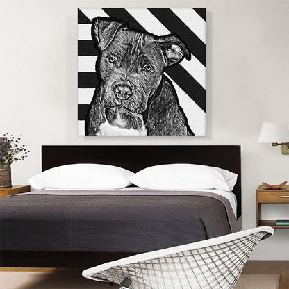 Cane Corso Dog Breed Black White Stripes