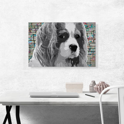 Cavalier King Charles Spaniel Dog Breed Black White