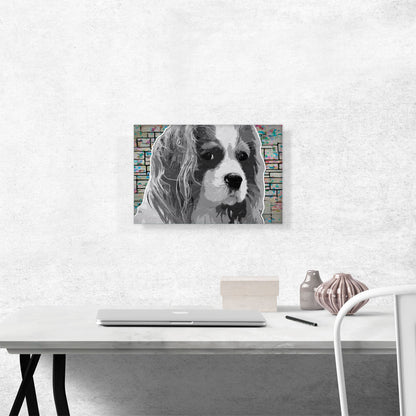 Cavalier King Charles Spaniel Dog Breed Black White