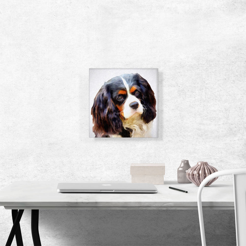 Cavalier Dog Breed