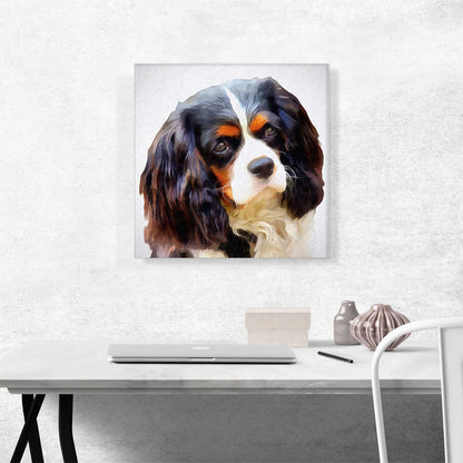 Cavalier Dog Breed