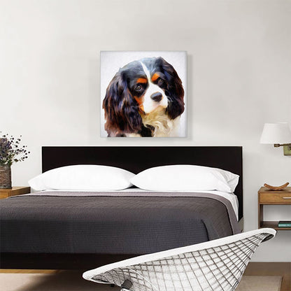 Cavalier Dog Breed