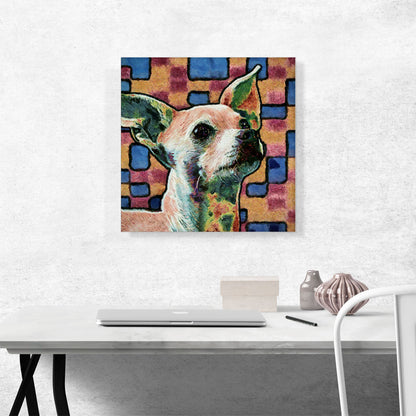 Chihuahua Dog Breed Blue Orange Pattern