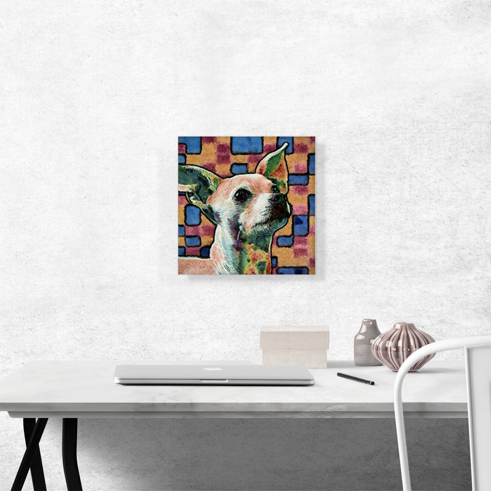 Chihuahua Dog Breed Blue Orange Pattern