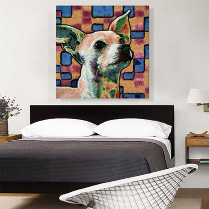 Chihuahua Dog Breed Blue Orange Pattern