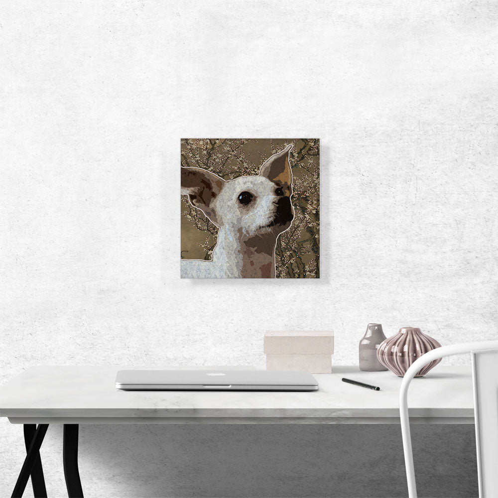 Chihuahua Dog Breed Brown Flowers