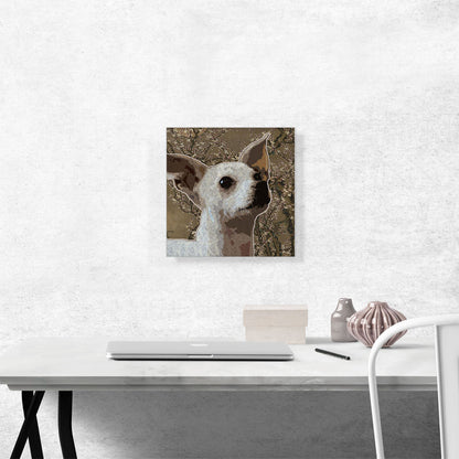 Chihuahua Dog Breed Brown Flowers