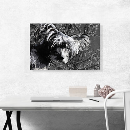 Chinese Crested Dog Breed Black White Flowers