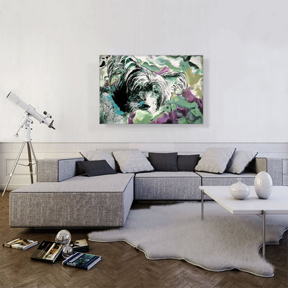 Chinese Crested Dog Breed Colorful