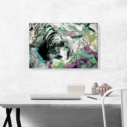 Chinese Crested Dog Breed Colorful