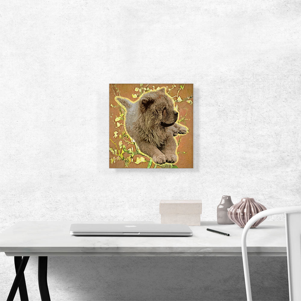 Chow Chow Dog Breed