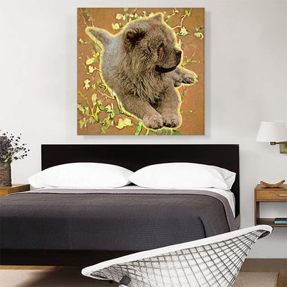 Chow Chow Dog Breed
